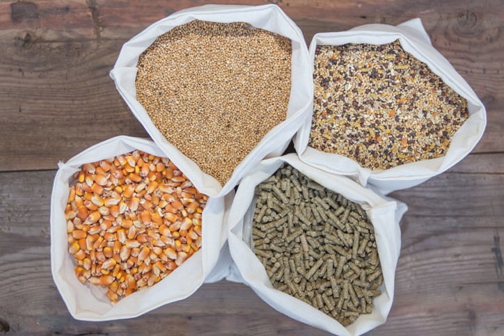 how to make chicken feed pellets