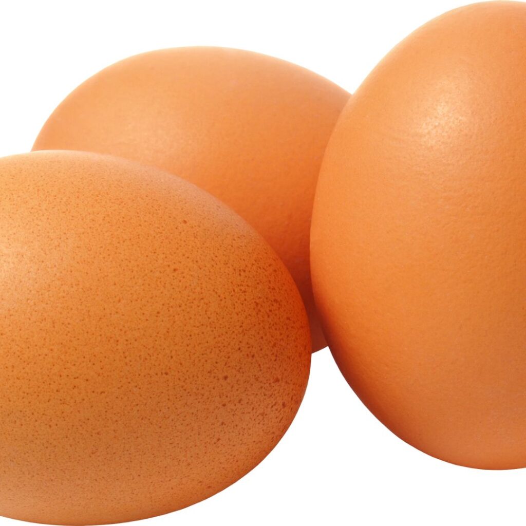 chicken egg disease