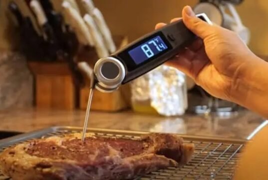 Where to put meat thermometer in chicken leg quarter