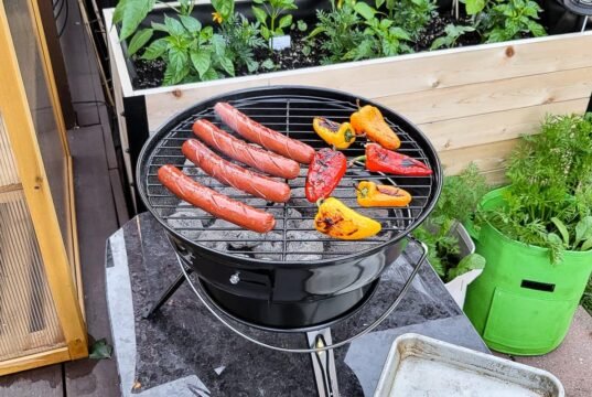 How long to grill chicken breasts on charcoal grill Charcoal Grill