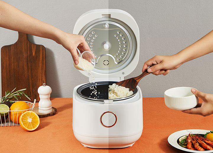 how to disassemble aroma rice cooker lid