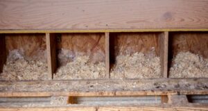 Chicken Nesting