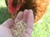 Natural Remedies