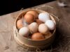Chicken Incubator
