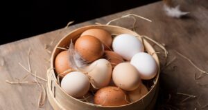 Chicken Incubator