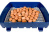 Chicken Incubator