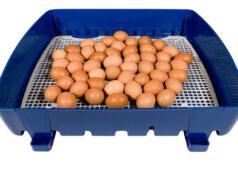 Egg incubator with automatic turner Chicken Incubator