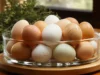 Chicken Incubator