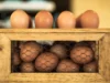 Chicken Incubator