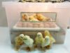 Chicken Incubator